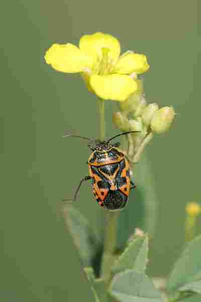 Agrandir eurven_5960.JPG