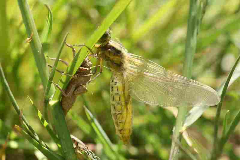 Agrandir libdep_7459.JPG