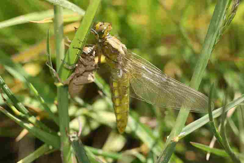 Agrandir libdep_7478.JPG